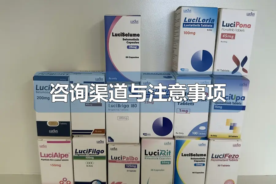 咨询渠道与注意事项