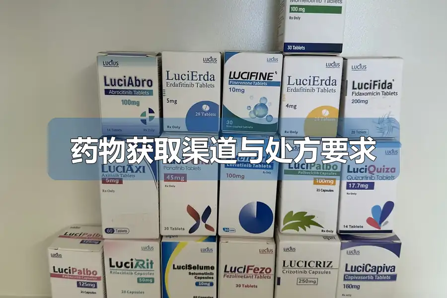 药物获取渠道与处方要求