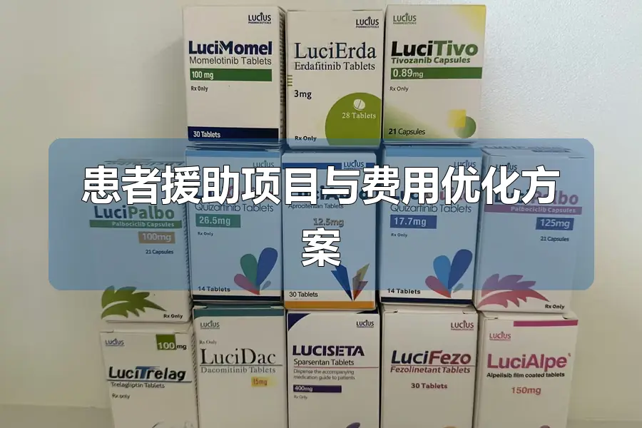 患者援助项目与费用优化方案